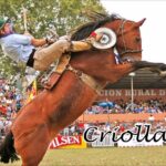 🇺🇾 Descubre las 🎉 costumbres y tradiciones de Uruguay: una rica cultura para explorar